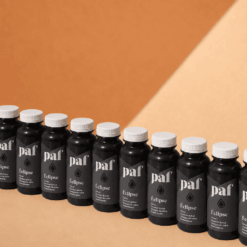 Coffret de Citronnades Charbon Activé et probiotiques - ÉCLIPSE